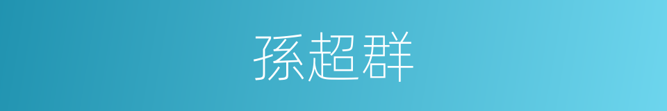孫超群的同義詞