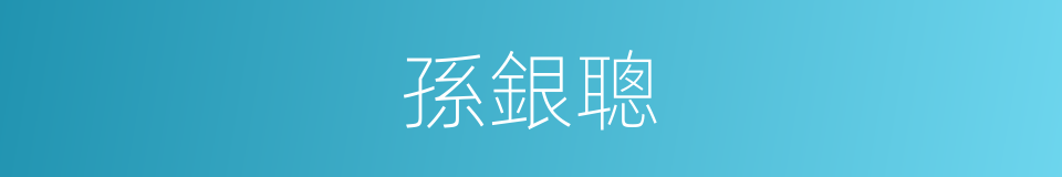 孫銀聰的同義詞