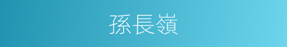 孫長嶺的同義詞