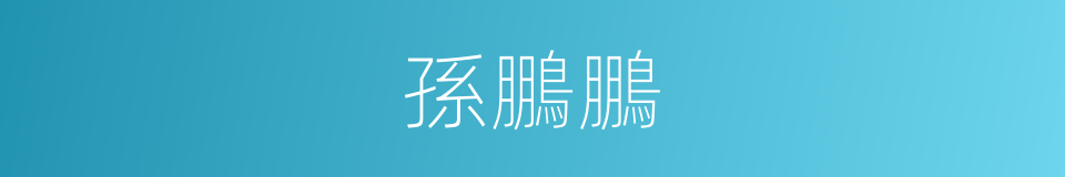 孫鵬鵬的同義詞