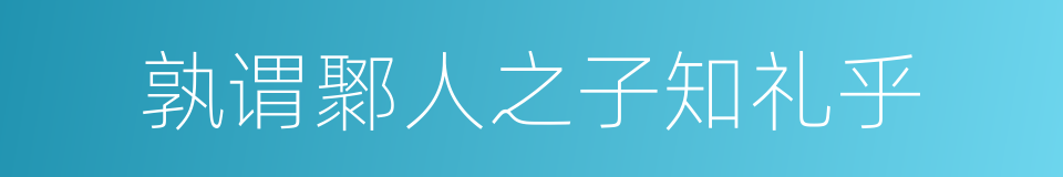 孰谓鄹人之子知礼乎的同义词