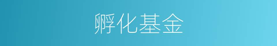 孵化基金的同义词
