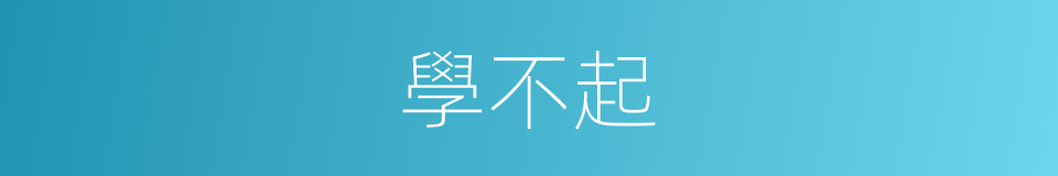 學不起的同義詞