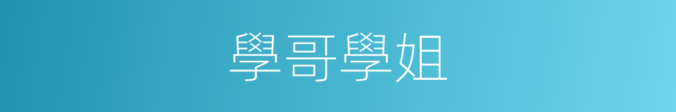 學哥學姐的同義詞