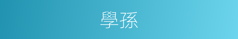 學孫的同義詞