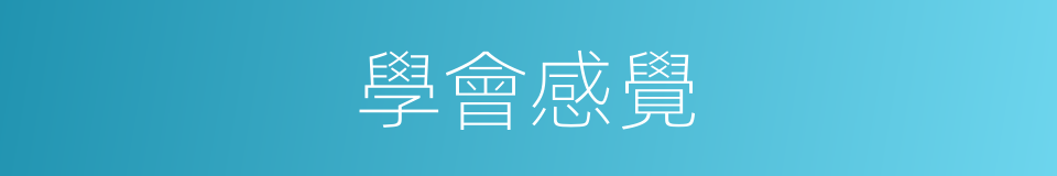 學會感覺的同義詞