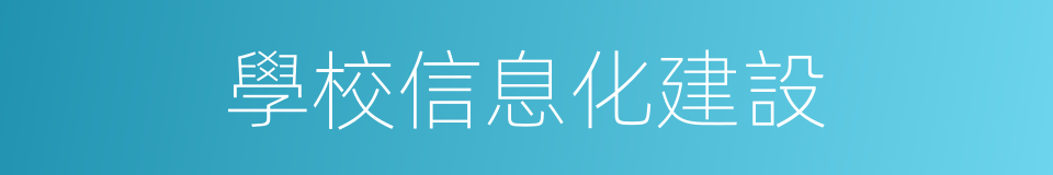 學校信息化建設的同義詞