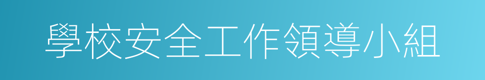 學校安全工作領導小組的同義詞
