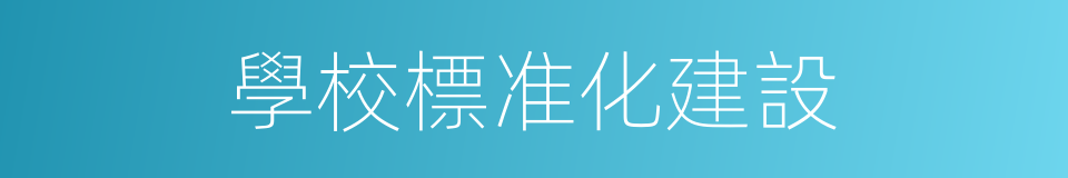 學校標准化建設的同義詞