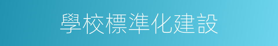 學校標準化建設的同義詞