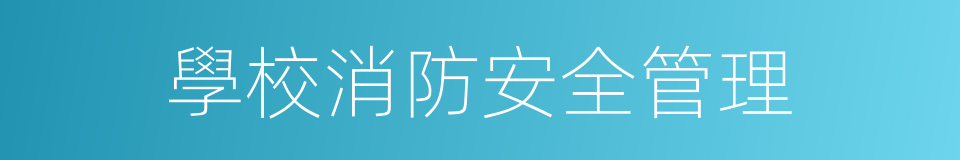 學校消防安全管理的同義詞