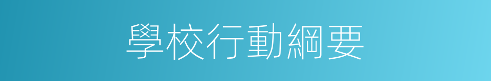 學校行動綱要的同義詞