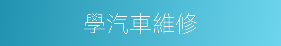學汽車維修的同義詞