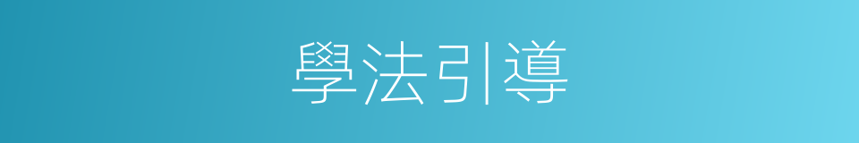 學法引導的同義詞