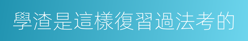 學渣是這樣復習過法考的的同義詞