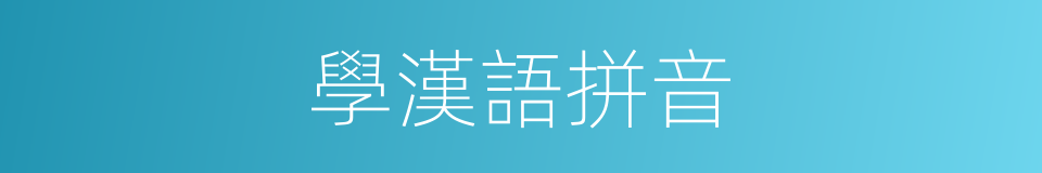 學漢語拼音的同義詞