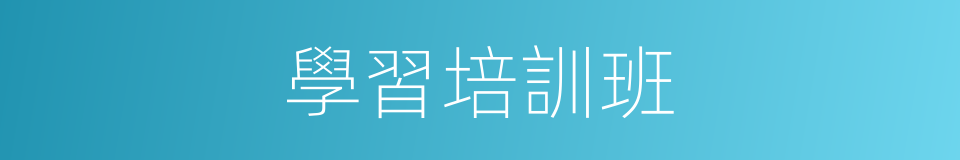 學習培訓班的同義詞