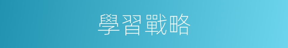學習戰略的同義詞