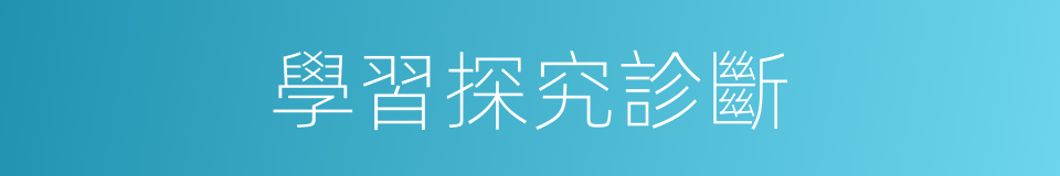 學習探究診斷的同義詞