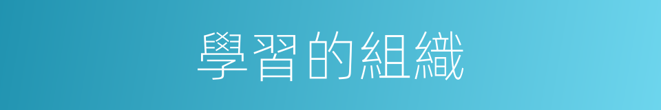 學習的組織的同義詞