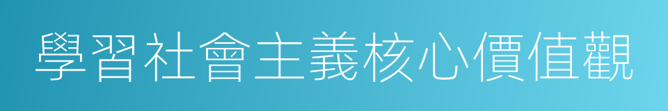 學習社會主義核心價值觀的同義詞