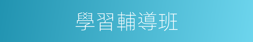 學習輔導班的同義詞