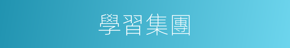 學習集團的同義詞