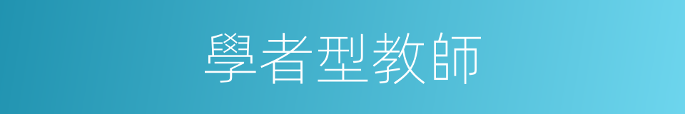 學者型教師的同義詞