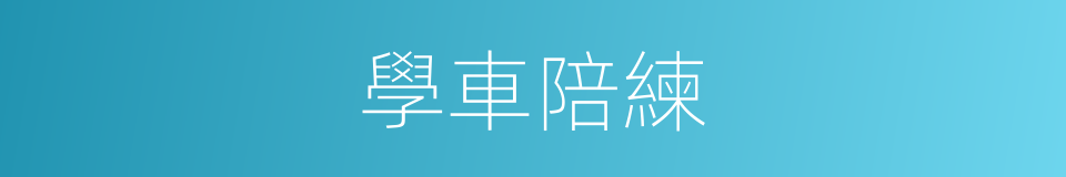 學車陪練的同義詞