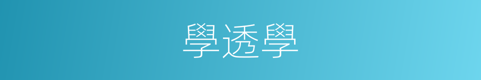 學透學的同義詞