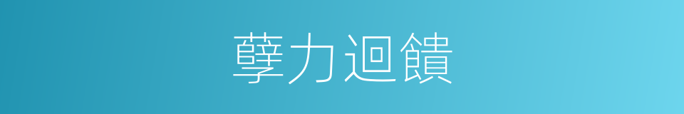 孽力迴饋的意思