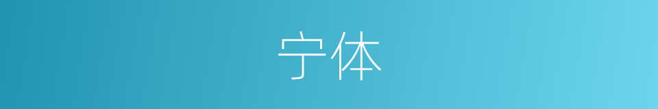 宁体的意思