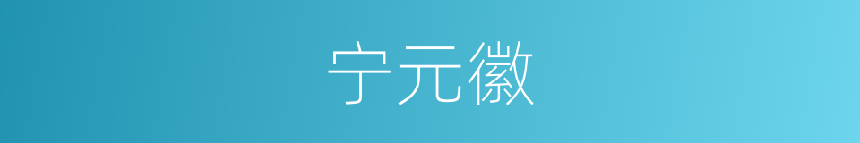 宁元徽的同义词