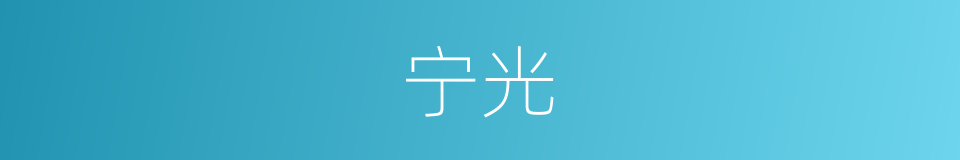 宁光的同义词