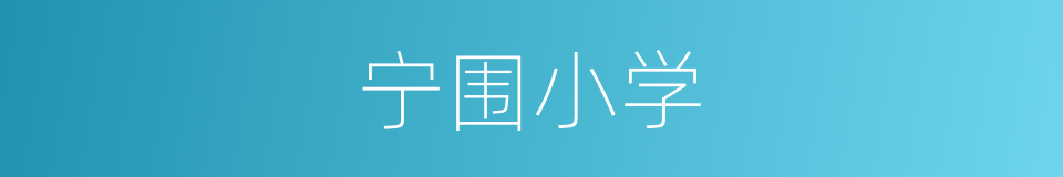 宁围小学的同义词