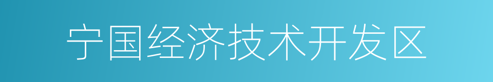 宁国经济技术开发区的同义词