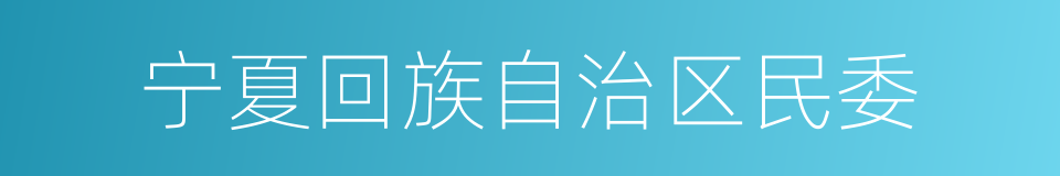 宁夏回族自治区民委的同义词