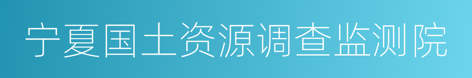 宁夏国土资源调查监测院的同义词