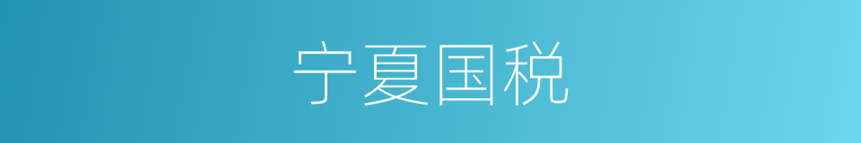 宁夏国税的同义词