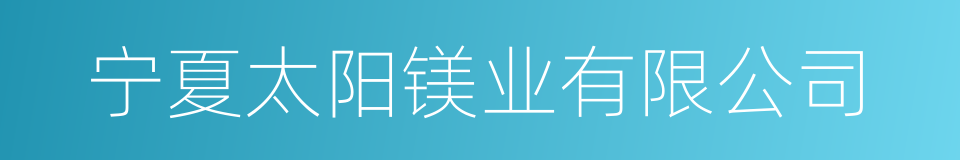 宁夏太阳镁业有限公司的同义词