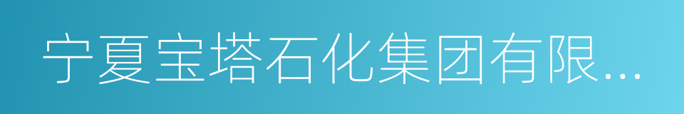 宁夏宝塔石化集团有限公司的同义词