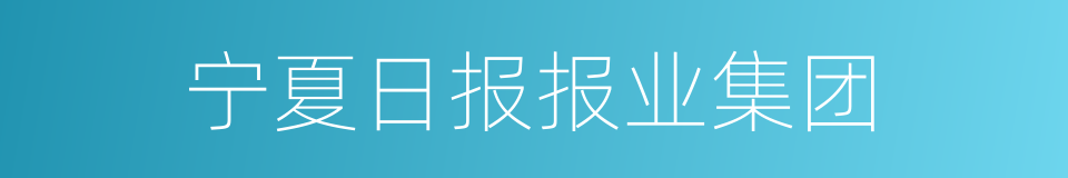 宁夏日报报业集团的同义词