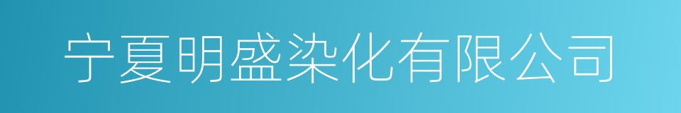 宁夏明盛染化有限公司的同义词