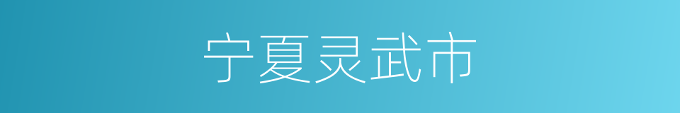 宁夏灵武市的同义词