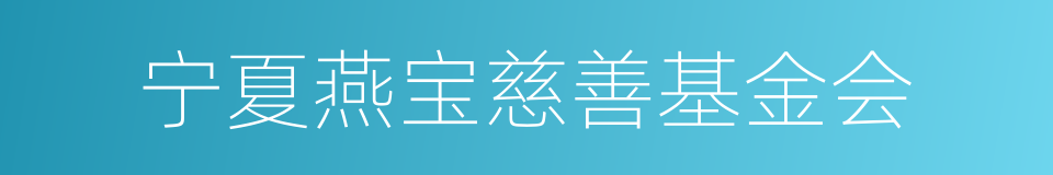 宁夏燕宝慈善基金会的同义词