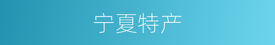 宁夏特产的同义词