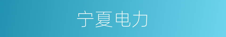 宁夏电力的同义词