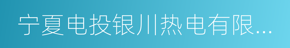 宁夏电投银川热电有限公司的同义词