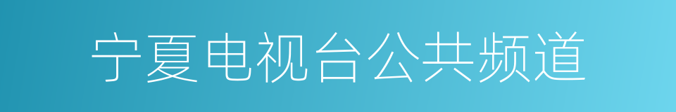 宁夏电视台公共频道的同义词