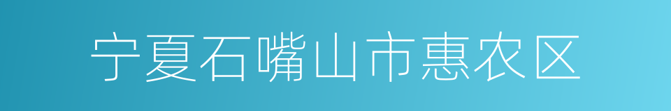 宁夏石嘴山市惠农区的同义词